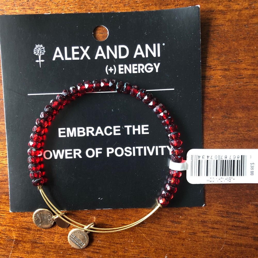 Alex&Ani Embrace the Power of Positivity Bracelet